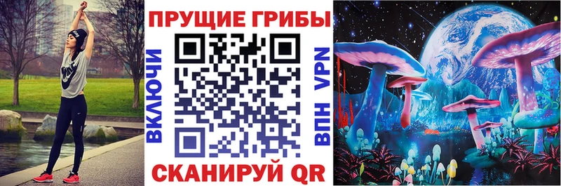 купить   Мамадыш  Псилоцибиновые грибы Cubensis 